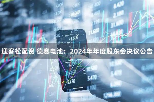 迎客松配资 德赛电池：2024年年度股东会决议公告