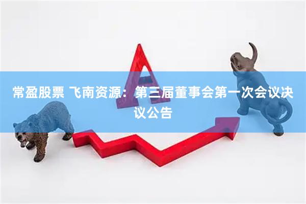 常盈股票 飞南资源：第三届董事会第一次会议决议公告