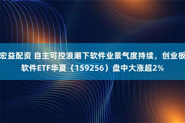 宏益配资 自主可控浪潮下软件业景气度持续，创业板软件ETF华夏（159256）盘中大涨超2%