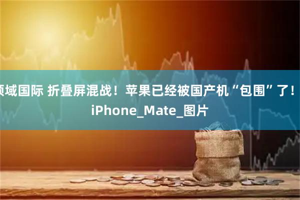领域国际 折叠屏混战！苹果已经被国产机“包围”了！_iPhone_Mate_图片