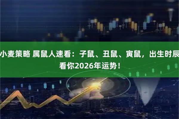 小麦策略 属鼠人速看：子鼠、丑鼠、寅鼠，出生时辰看你2026年运势！